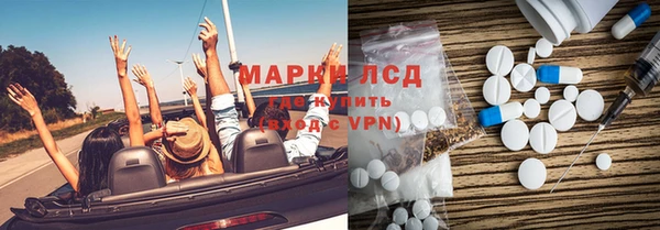 индика Вяземский