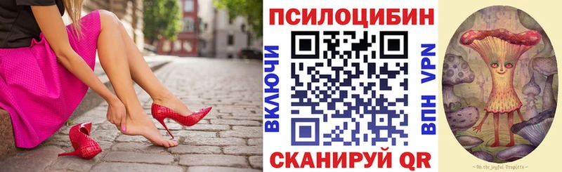 Псилоцибиновые грибы прущие грибы  Гусь-Хрустальный 
