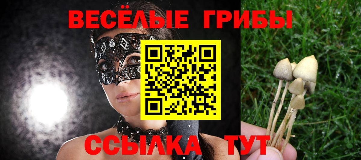 Псилоцибиновые грибы MAGIC MUSHROOMS  Псилоцибиновые грибы ЛСД  Гусь-Хрустальный  Вход с VPN 